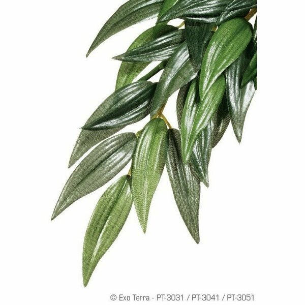 Exo Terra Exo-Terra Silk Plant Medium Ruscus A182